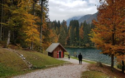 Sicher durch den Herbst: Versicherungen für die kalte Jahreszeit